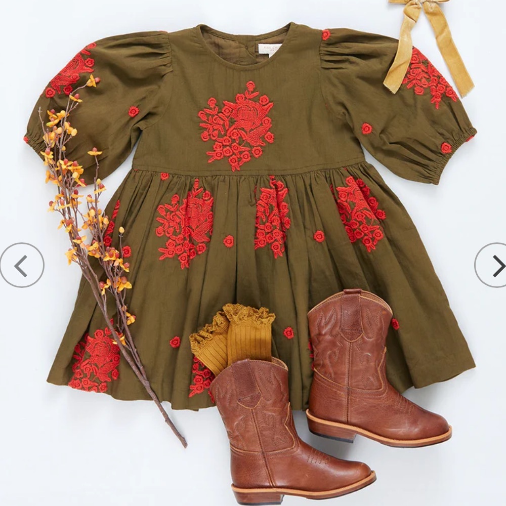 EUC Pink Chicken Girls Brooke Dress in Dark Olive Embroidery Sz 4y - Picture 3 of 8